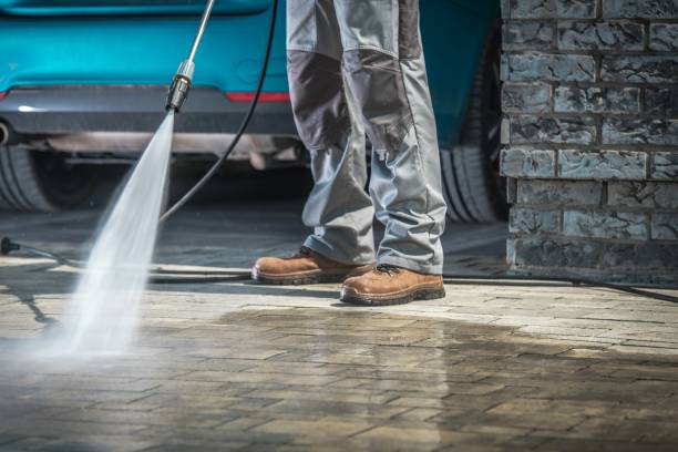 Best Gutter Cleaning  in Justice, IL