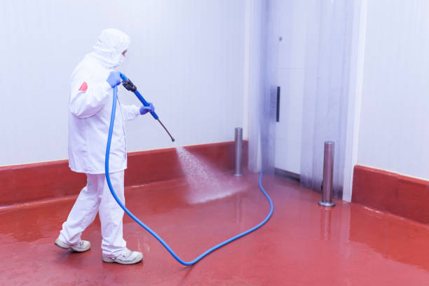 Best Soft Washing  in Justice, IL